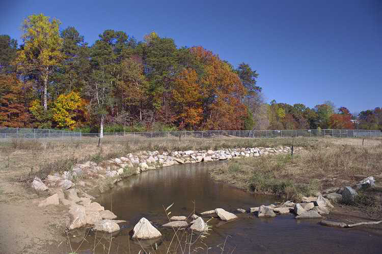 Moore's Creek